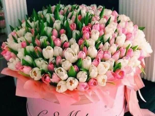 С МЕЖДУНАРОДНЫМ ЖЕНСКИМ ДНЕМ!