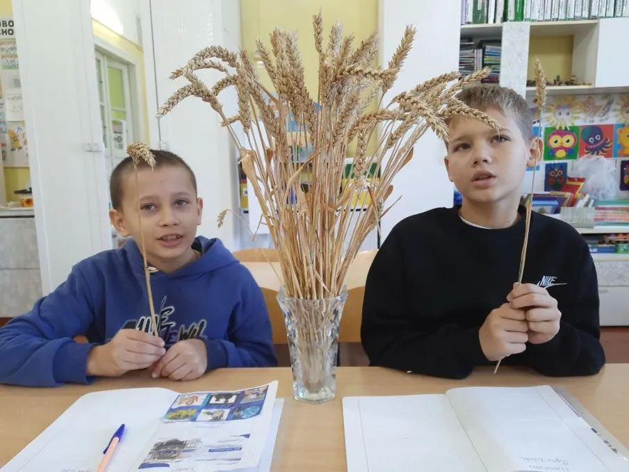 «Разговоры о важном» под названием «Путь зерна".